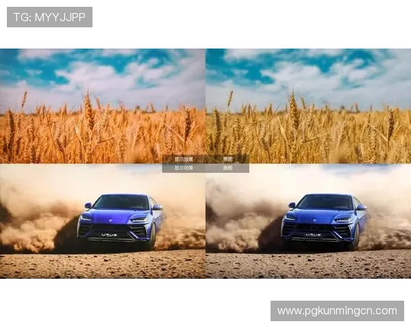 PG电子竞技俱乐部的未来发展规划与创新举措探索