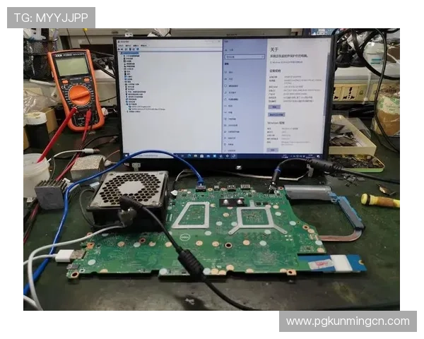 PG电子赌博平台的盈利模式分析及其对传统博彩行业的冲击