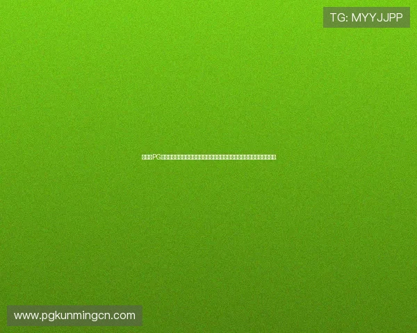 如何在PG电子亡灵大盗中快速提升等级与获取稀有装备，实用攻略助你成为游戏高手
