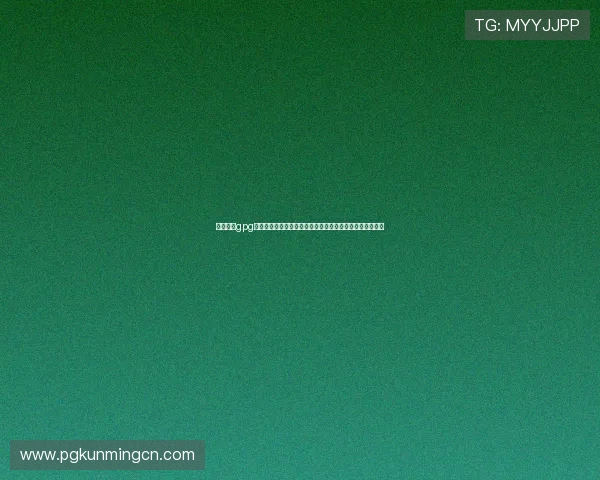 详细介绍gpg官方下载的安全性分析与使用技巧，提升您的加密技术水平